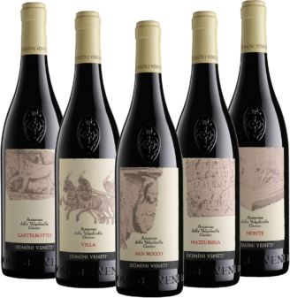 Box Set Domini Veneti Amarone Espressioni вино красное 5*0.75л