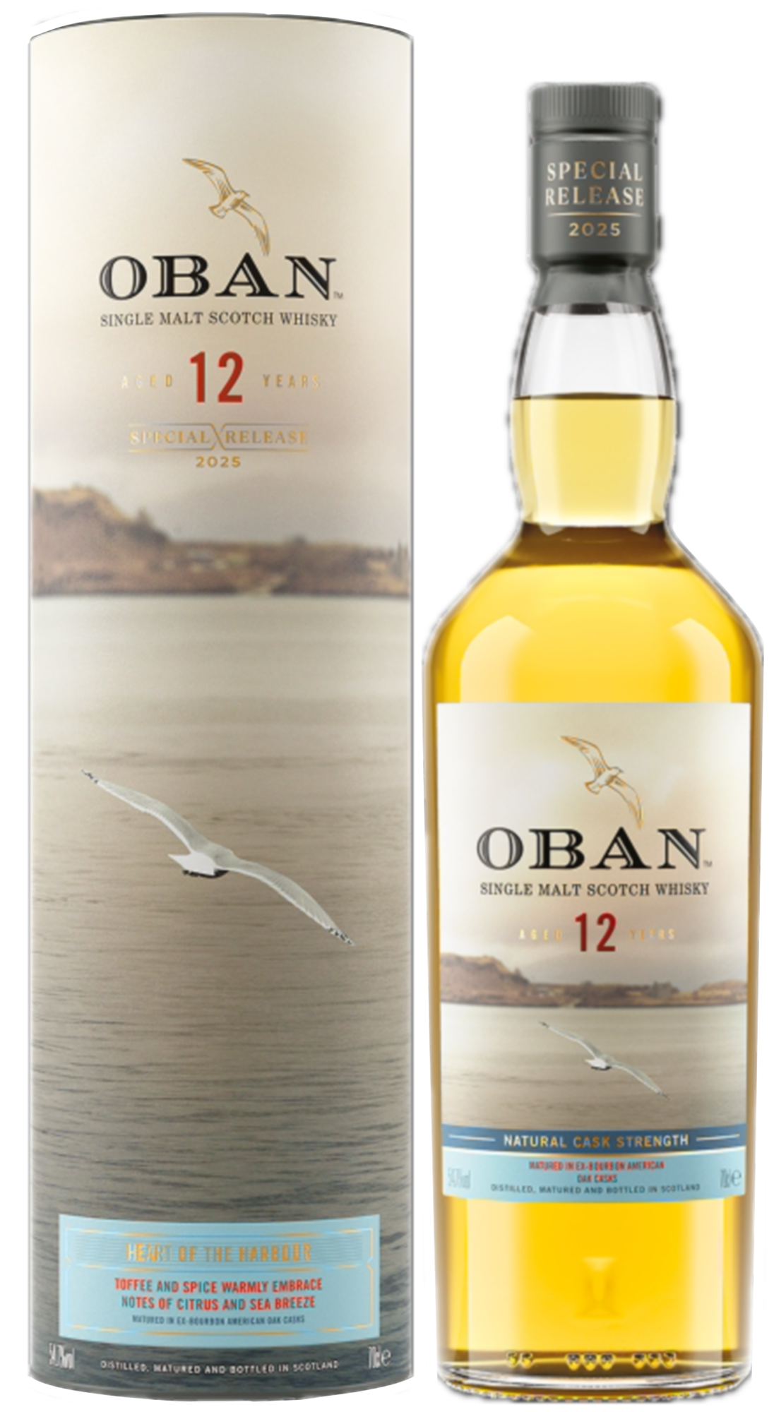 【超希少】OBAN 12 Years Whisky Oban 12 YO Special Release 2025 54.7% купить виски односолодовый